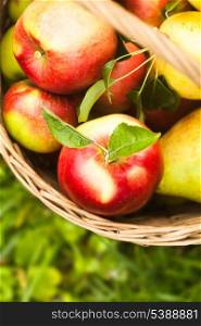 Apples and peacrs in the basket on a grass in the garden