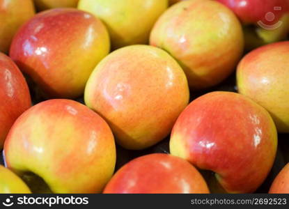 Apples, close-up