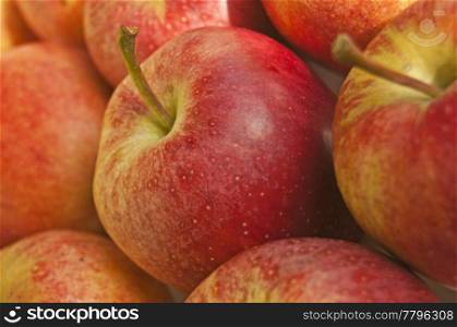apples closeup. apple