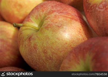 apples closeup. apple