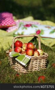 Apples in a basket