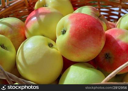 Apples in the wattled basket