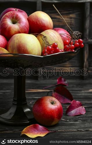 Apples in vase for fruits. Harvest apples autumn varieties in stylish vase for fruits.Photo in dark key