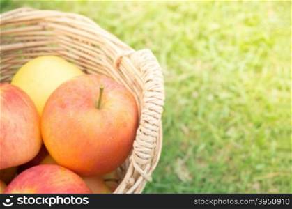 Apples in wicker basket on grass &#xA;