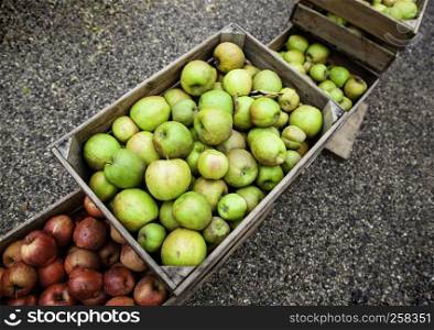 Apples in wooden boxes, detail of fresh fruit, diet and health. Apples in wooden boxes