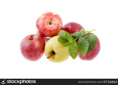 apples isolated on white, studio picture