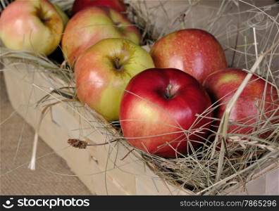 Apples on a bed of hay in the basket close up