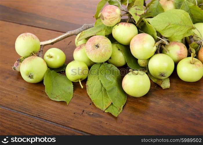 apples on a wooden table