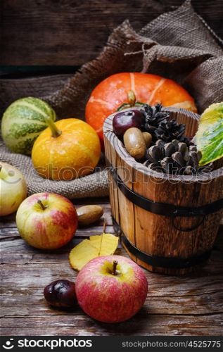 apples,pumpkins and pine cones