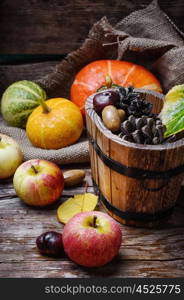 apples,pumpkins and pine cones