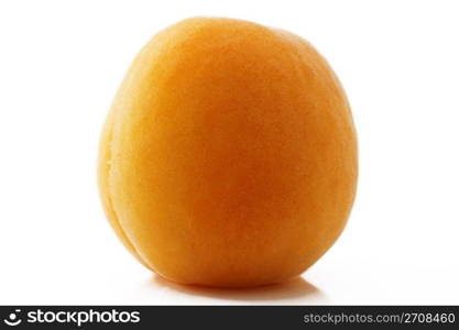 apricot closeup. closeup of one apricot on white background