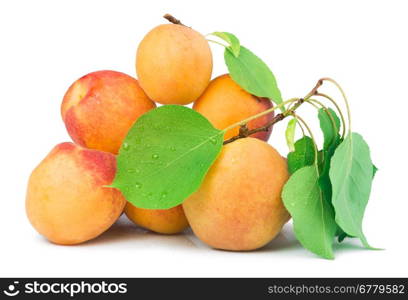 Apricots and leaf white isolated. Studio shot