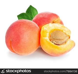 Apricots isolated on a white background.