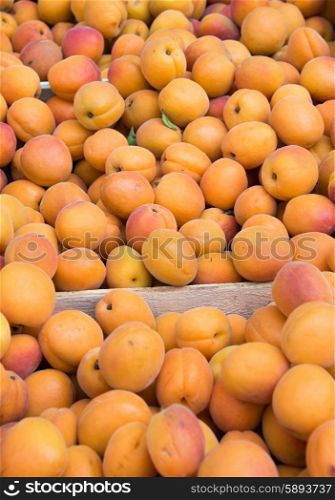 Apricots on sale as summer fruit