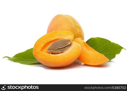 Apricots with green leaves from tree isolated on white background