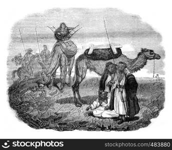 Arab Bedouins, after an engraving of the trip Mr. Leon Delaborde, vintage engraved illustration. Magasin Pittoresque 1836.