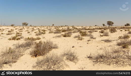 Arabian desert