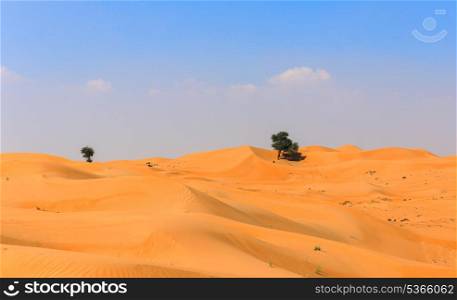 Arabian desert. Arabian desert at noon
