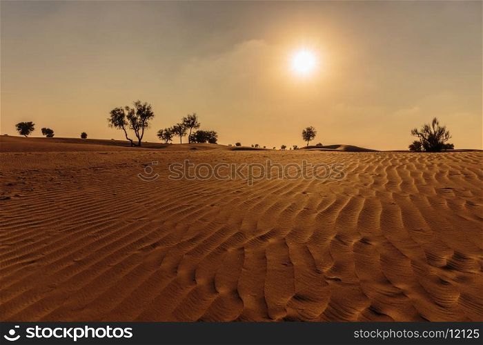 Arabian desert. Sunset in the Arabian desert