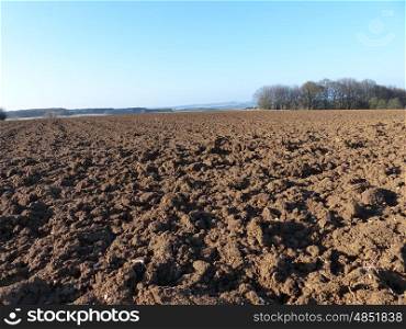 Arable field in the background forest&#xD;&#xA;