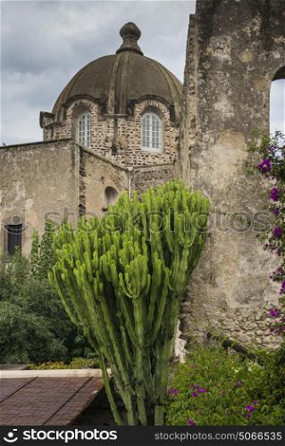 Aragonese Castle, Ischia Island, Campania, Italy