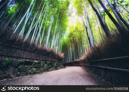 Arashiyama Bamboo Forest famous place in Kyoto Japan. - The Arashiyama Bamboo Grove is one of Kyoto&rsquo;s top sightseeing for tourist travel to Kyoto and Kansai, Japan.