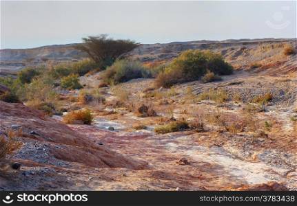 Arava desert (southern Israel) in the first rays of the sun