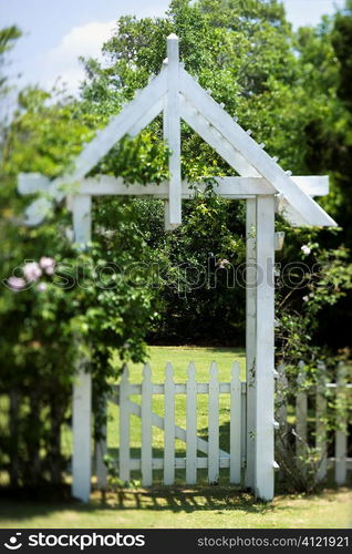 Arbor in Yard