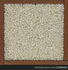 arborio rice used for traditional Italian meal, risotto, in a rustic wooden frame or box