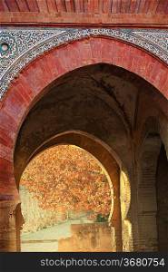 arch in old garden