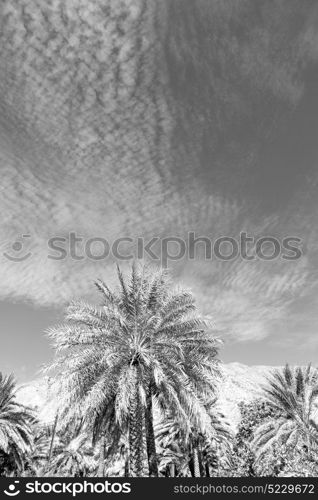 arch village house and cloudy sky in oman the old abandoned