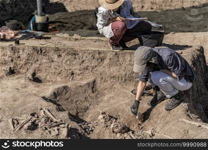 Archaeological excavations. Two female archaeologists with tools conducting research on ancient human bones. . Archaeologist Working at Archaeology Site