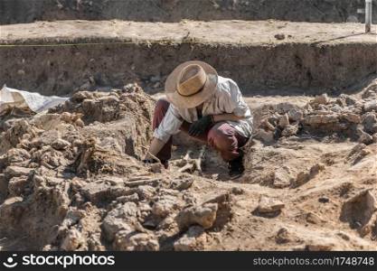 Archaeological excavations. Young archaeologist excavating part of human skeleton and skull from the ground. . Ancient Burial Site- Archaeological Excavations 