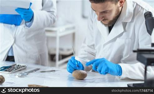Archaeologist analyzing ancient artifacts, loom weight or fishing net weight. . Archeology Scientists Analyzing Ancient Weight in Laboratory