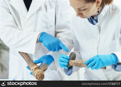 Archaeology researcher in laboratory reconstructs usage of ancient tools. . Archaeology Researcher Reconstructing Ancient Tool