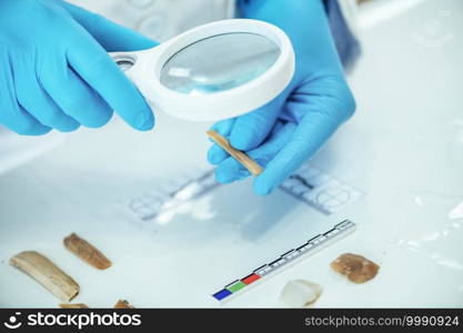 Archaeology researcher performing lithic analysis with magnifying glass and measuring artifacts with straightedge tool.. Archaeologist Using Lithic Analyzing Technique Laboratory