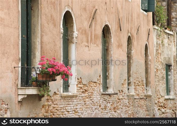 Arched windows and geranium flowers in Venice, Italy.