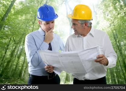 architect engineer two expertise team plan talking hardhat forest jungle trees