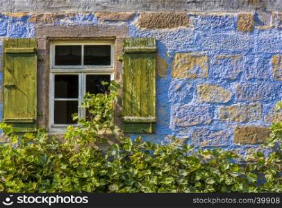Architecture background from a medieval german house with its blueish wall, the wooden window and the vines