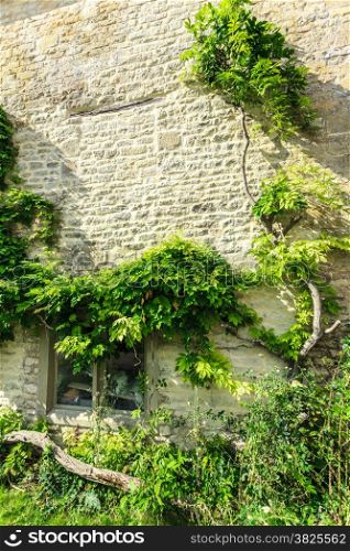 Architecture detail. Old stone house with small window and green trees ivy, village Bibury, England