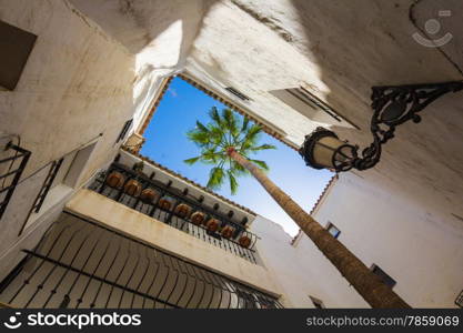 architecture perspective typical Andalusian white building with blue sky and a large palm tree in the middle