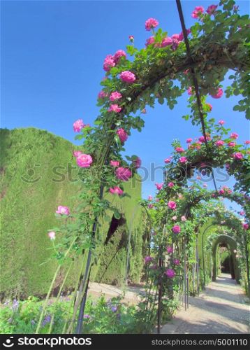Archway from roses in the Alhambra Palace gardens, Granada, Spain.