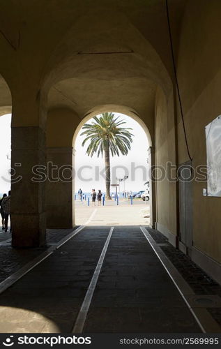 Archway of a building, Venice, Veneto, Italy