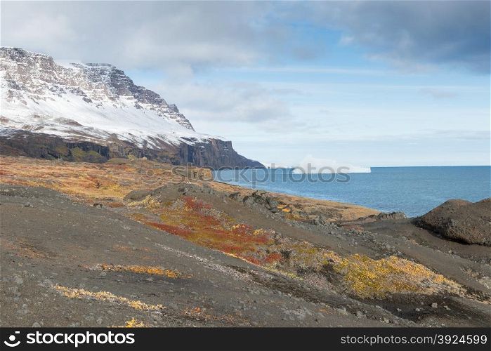 Arctic landscape. Arctic landscape on disko island in greenland with mountain and vegetation