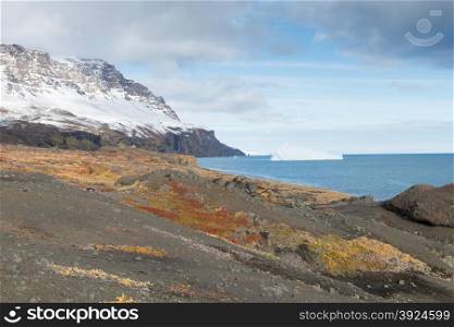Arctic landscape. Arctic landscape on disko island in greenland with mountain and vegetation