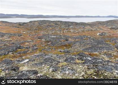Arctic landscape around Aasiaat. Arctic landscape around Aasiaat in Greenland with rocky surface and sea in summer