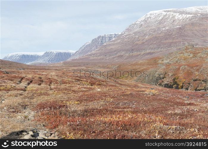 Arctic landscape in Greenland. Arctic landscape in Greenland on Disko Island in summer