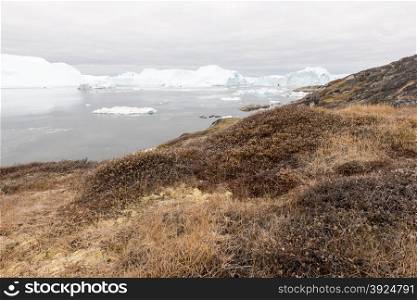 Arctic landscape in Greenland with icebergs. Arctic landscape in Greenland around Disko Island with icebergs