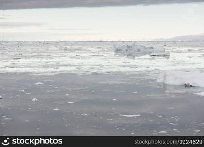 Arctic seascape in Greenland. Arctic seascape in Greenland around Disko Island