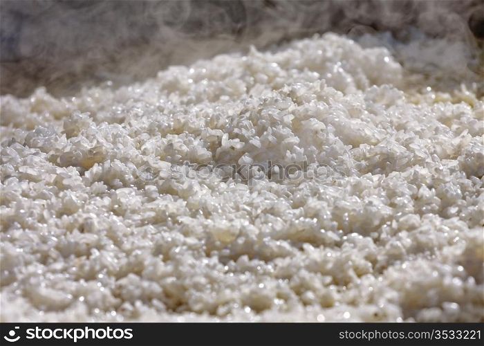 are fresh the prepared rice for pilaf, close up